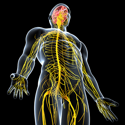 Neurosurgical Procedures